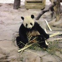 Ab5ca9a5e28debdebdba2968513252b5f57a10e4