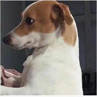 774aeb1c818225cb036072d5754be85258c16fe6