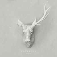 0244536197f2b94051569d047bd8f7cefcd31c78