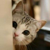 1e1a89c25c3f9e5eb271fd87c5f34e3bd615bc73