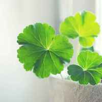 473db5b6487546ff88ab49b2c520291a4fd12f43