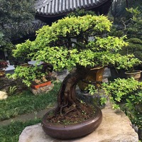 1f9736800d0e761f14562c62846b198c4515010b