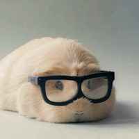 De6462348ca59e45d0f17111b7be6ffc54d3700d