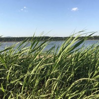 9f559a40e2f744fa9b0075577a514ba1ea52f308