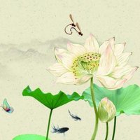 Ede9ec2eabee8e5d1677bdd8fa45e6eec7ac4d96