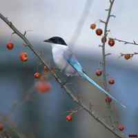 0c6c176d43f6d8c5471a0d046f04e4404f9a3efc