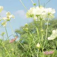 788ecc2940b407f0042ea0a39e232ccaf14ab61f