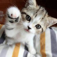 Aeb26bec7ee0eedd31fd7a532cc35f22bfa8823c