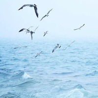 5ba95b19e835a52fd22f124b323ad1b9b33061c9