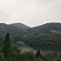 868ae418bd68a23de85532231eadc93a838ba247