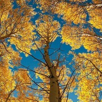 B0ce50535b40fcfb60852205614d76b10bdecaa3