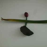 A580601b21db716fcd5c681e91650e54a662c126