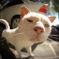 08fc5ce436522938fbe8da0bcaf467724496845e