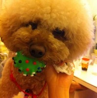 90c0155dc52c0fd4d150d16952ebdc2b865c639b