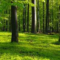 Ffcd14af2a5b7954745f4d631c00a0a26fdcee0e