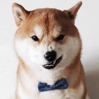 2aaefa5968c9ffeceb76dc82a3caaf78df4ffd6e