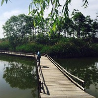 757ec650522638b8470cc6fc88c9d4967f4d850d