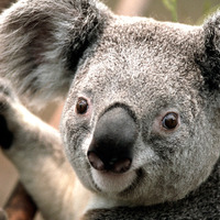 E5568701f4ebe37253ee6ad58e515b2c2d132593