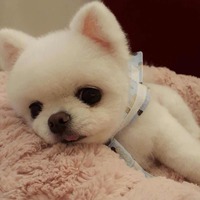 10f79a3c3c488aef610ccb06dce833f4bc2895d3