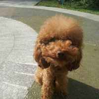 F0e79f80794d36631eecf79ee156dccb8d9c5c97