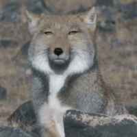 4522acd603bde37b95d007a850501cd227b2c7d9