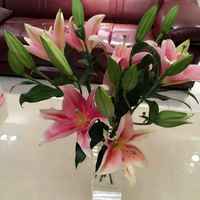 447d8fc3b888737ce861ff81379397768519c3cd