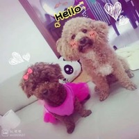 490a1303c6f83602d42d3eda4aa7cd9c55869e8e