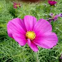 8a38a1e171937dddda1375dd6f84533cf075993d