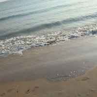 E70c731e5ff77c4aa06af85b0e5590f1898653db