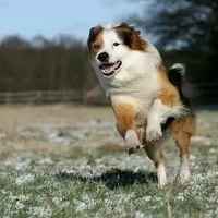 6ebf467f09a4ab71b4d211e8dbc05a95dbee0556