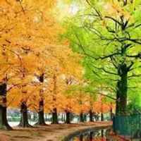 71c40638e142342c2e876f40130d7e86e512a1a3