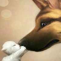 E5f57884eb22084e888a556d3a496cd747faa334