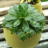 6dab028282662d338b79fc8337e72e85e57a34b0