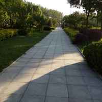 Fbf37770c04925cacfbe465835bce6ab9dd59eca