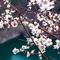 D95c235115d5305641045cc162308fe41cd3f0ea