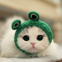 0e8746d688738e8c746d0a19cc5a2e38b47bf31b