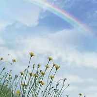 C89ce5d593dfd055f003fc5e85050d9346b62998