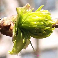 Fd7efae59678c7a009fef7a5e4493b03a8856c27