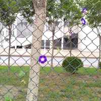 D52c615dd64309ae3a529c07703e2ad53d675b39