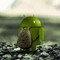 05555e523a49924f4da7e756f4eeb6df6bc5c333