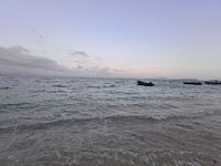 134b9cba097a73071d163f64b39a9a34f48e9c76