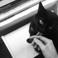 259a48f415e9cec9121f8e78c71ba5612357f21b