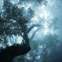 607852994af09447c3006e54f2b73e11f1217b8f