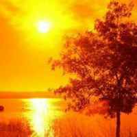 3d2a3ddcc644a1ddf8aca49ddb89d742d74533ab