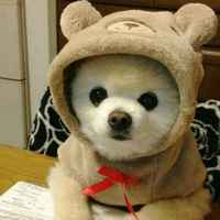 778aa2765672764e4e530647a81428095f7045be