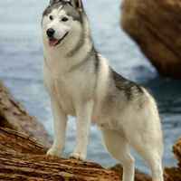 2f85f8fc262924e4e2b8cbc4df4a6cbd8c456278