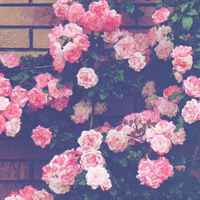 25d0e4b4ec5dd92d43b13859a89e9ef7c84eebdc