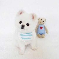 Cf400e9fe421450dd253efea8521107250e142ee