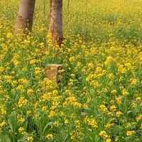 B046a2ac45d9e163a3da13ba224cf7324c69feef