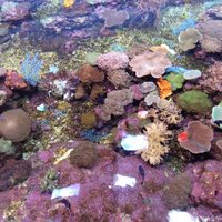 C09c4710d740c8b7838c20725ac92a00335da6ea